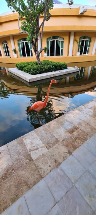 Sonstiges Iberostar Waves Paraiso del Mar