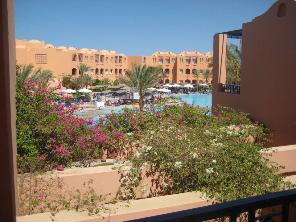 Gartenanlage vom 1en Stock Jaz Makadi Oasis Resort