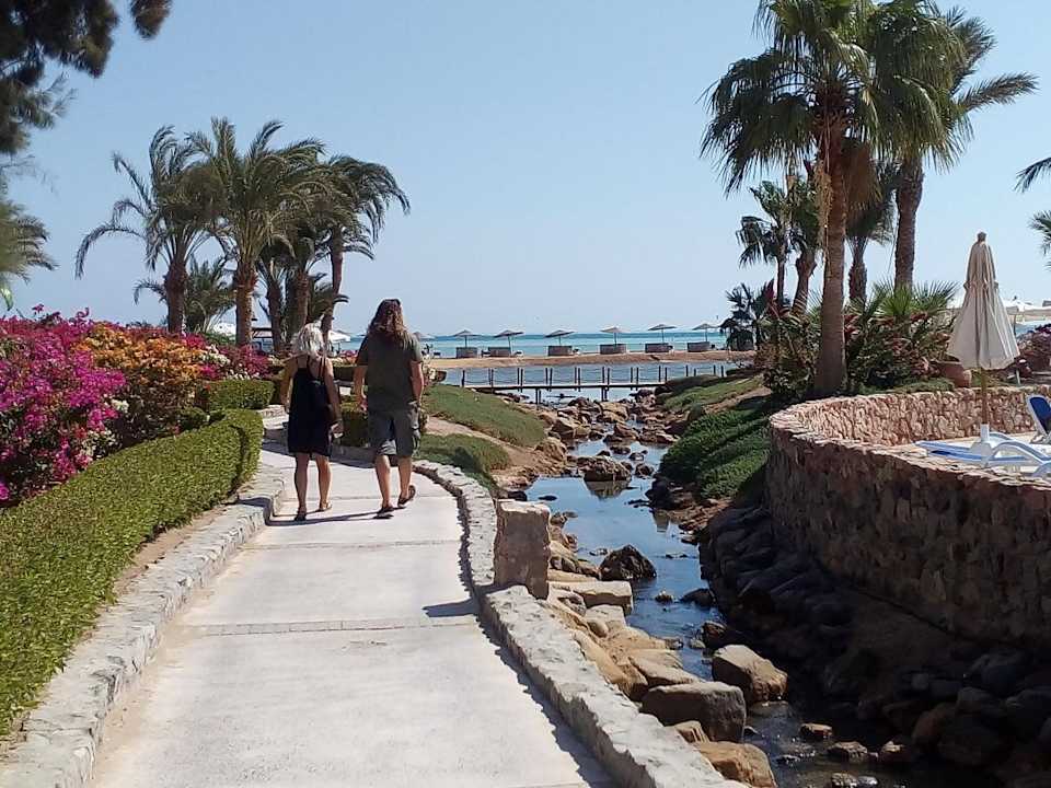 Gartenanlage Mövenpick Resort & Spa El Gouna