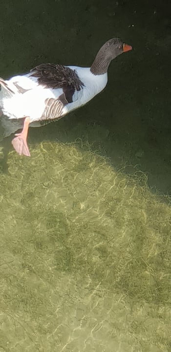 Sonstiges VONRESORT Golden Coast