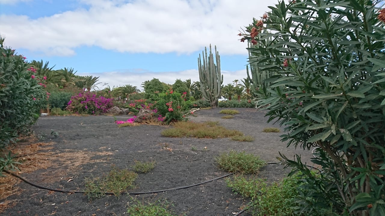 Gartenanlage Relaxia Olivina