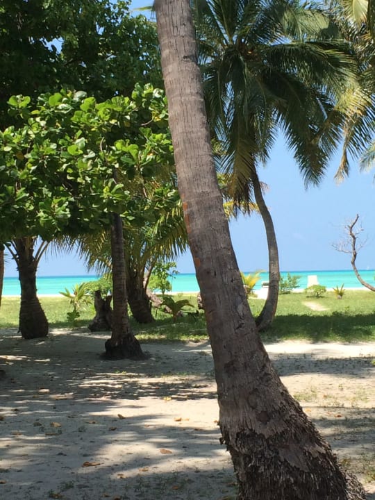 JBV 645 Meeru Maldives Resort Island