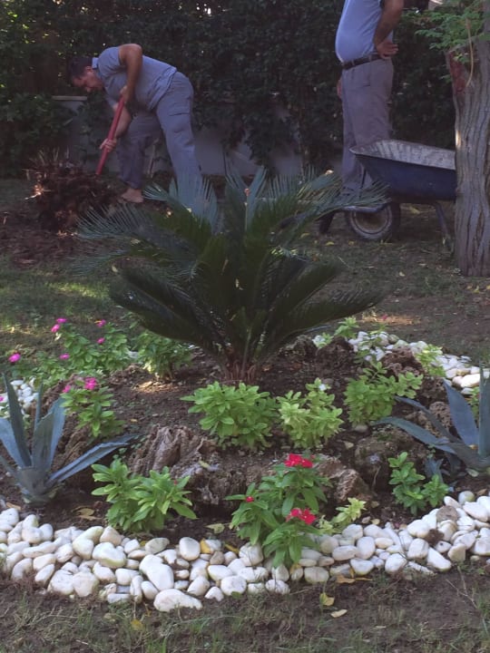 Aydinbey Kings Palace & Spa  Aydinbey Kings Palace & Spa