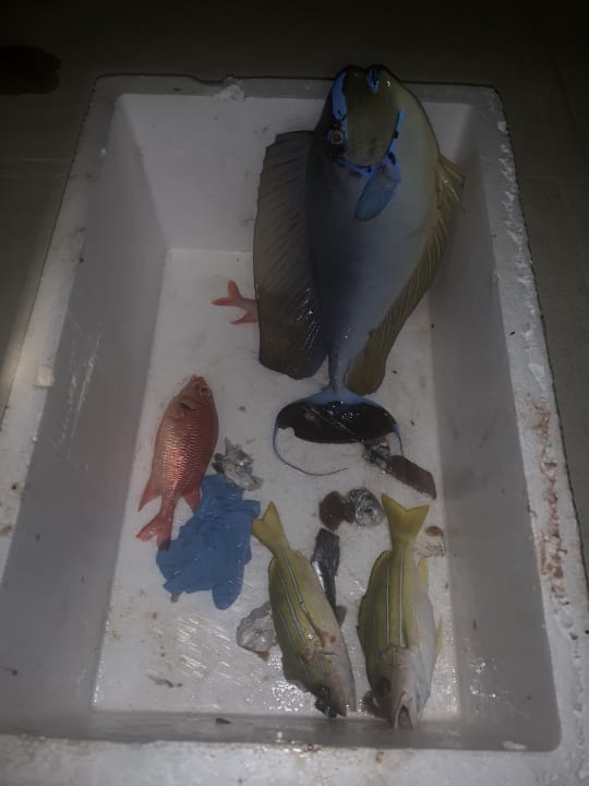 Sport & Freizeit Summer Island Maldives