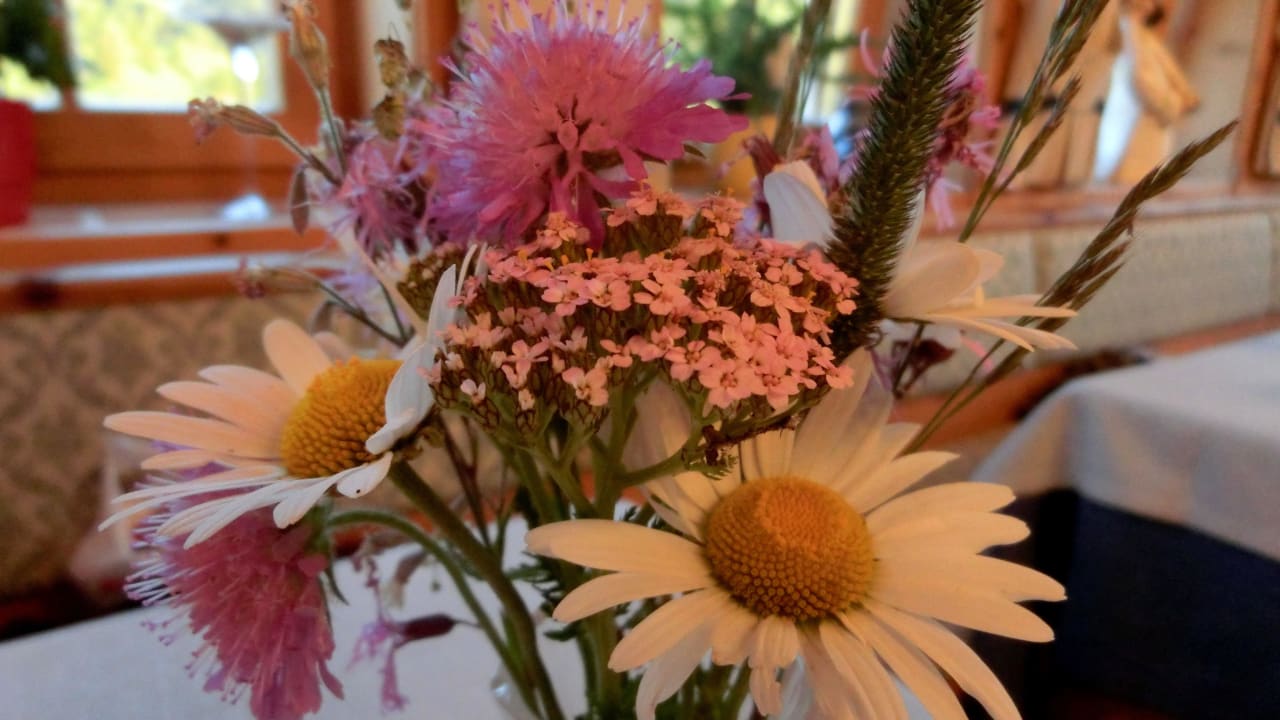 Wiesenblumen Berghaus Zallinger