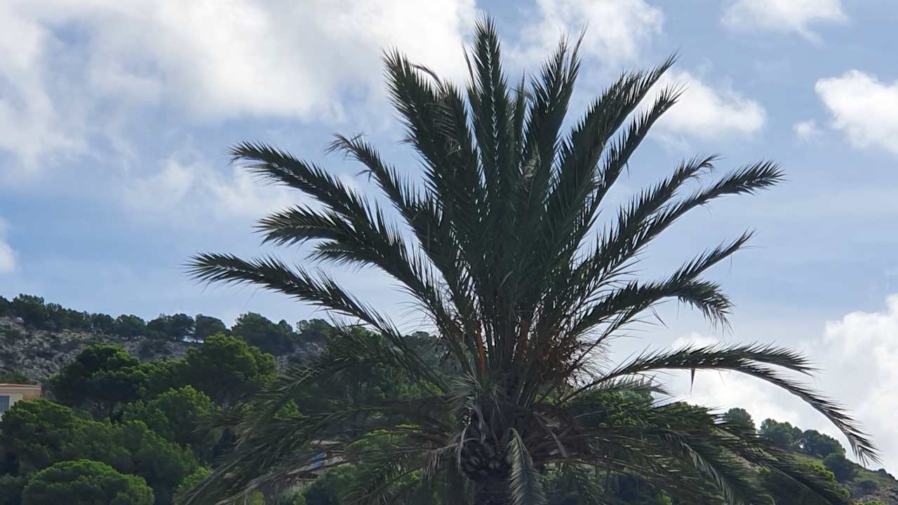 Außenansicht Universal Hotel Castell Royal