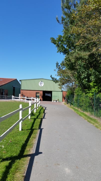 Sonstiges Ferienhof Frieslandstern