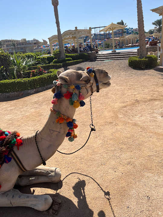 Strand Riviera Aqua Park Resort