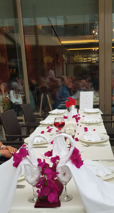 Gastro Seashell Vega