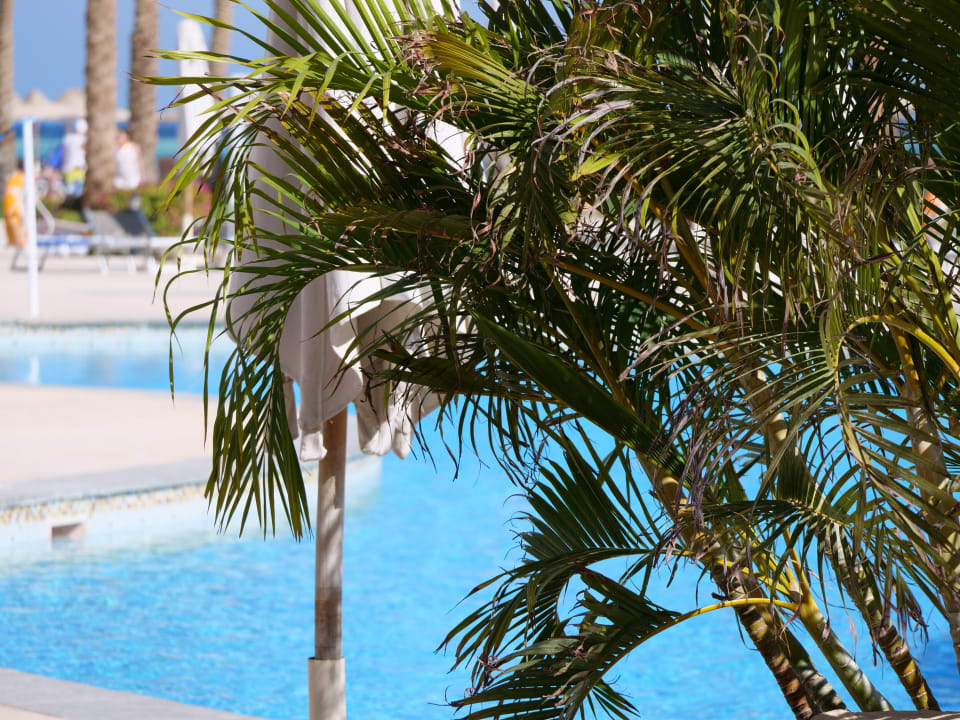 Pool Stella Beach Resort & Spa Makadi Bay