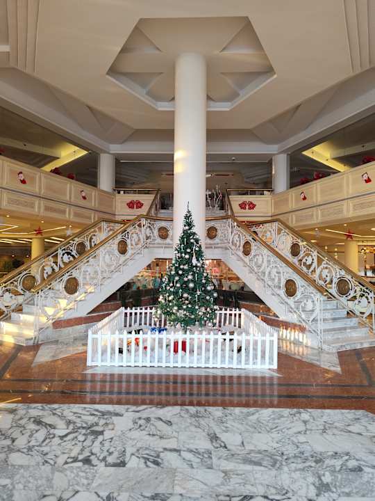 Gastro Calimera Blend Paradise