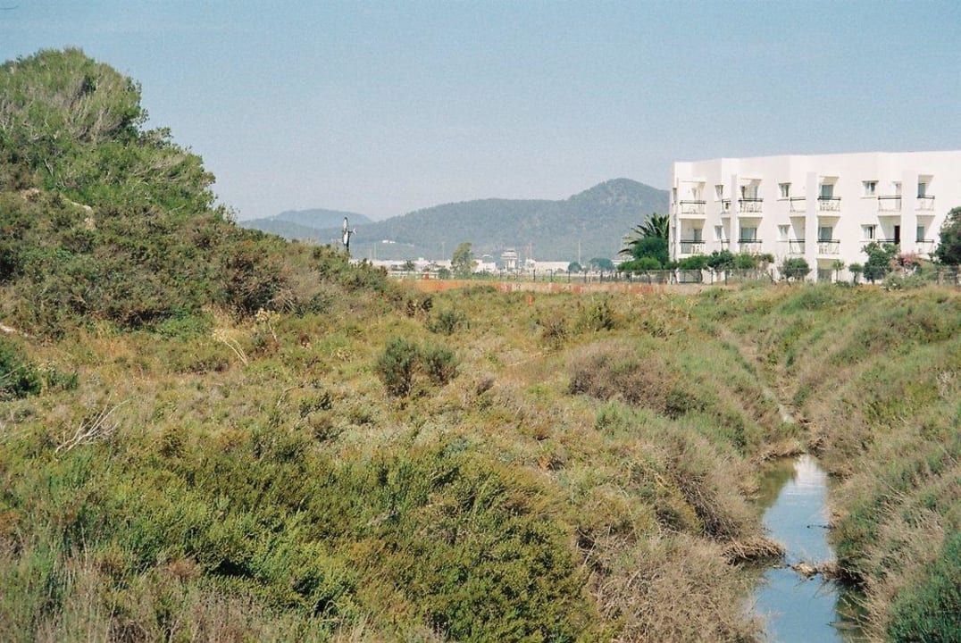 Im Hintergrund ist der Flughafen zu sehen Grand Palladium Select Palace Ibiza