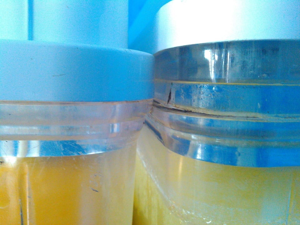 Getränkespender Imperial Shams Abu Soma