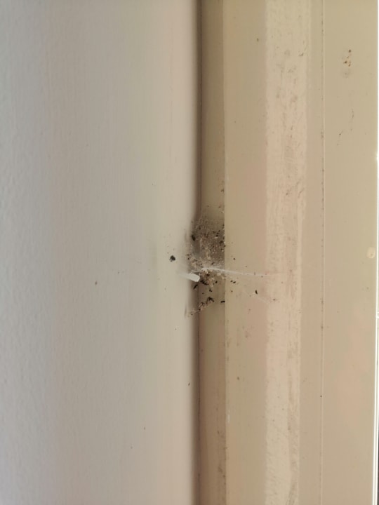 Zimmer Ralitsa Aqua Club