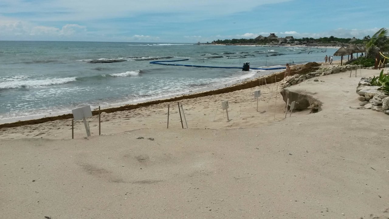 Strand und Schutz der Schildkröten Bahia Principe Grand Tulum