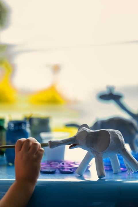 Sport & Freizeit Amatara Welleisure Resort