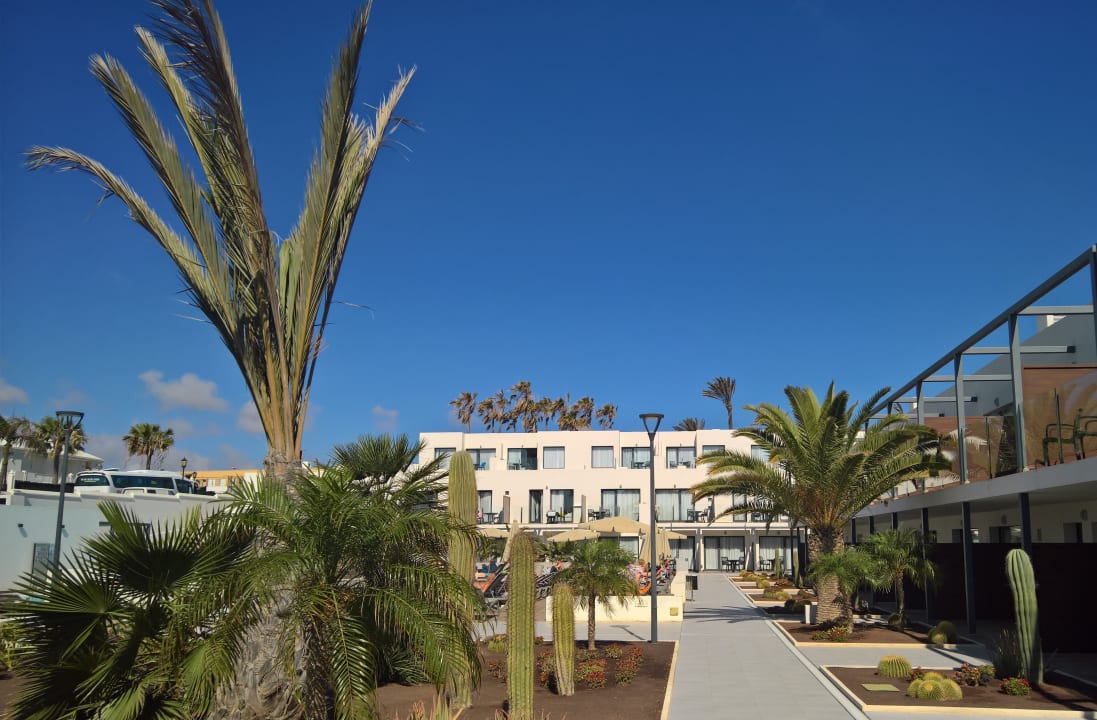 Gartenanlage H10 Ocean Dreams - Adults only