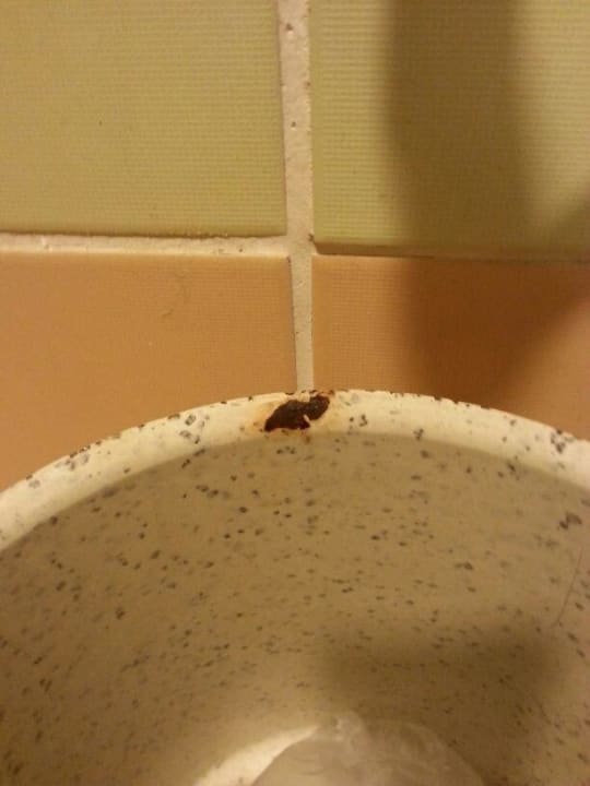 Sauberkeit Bad / Toilette Limak Limra Hotel & Resort