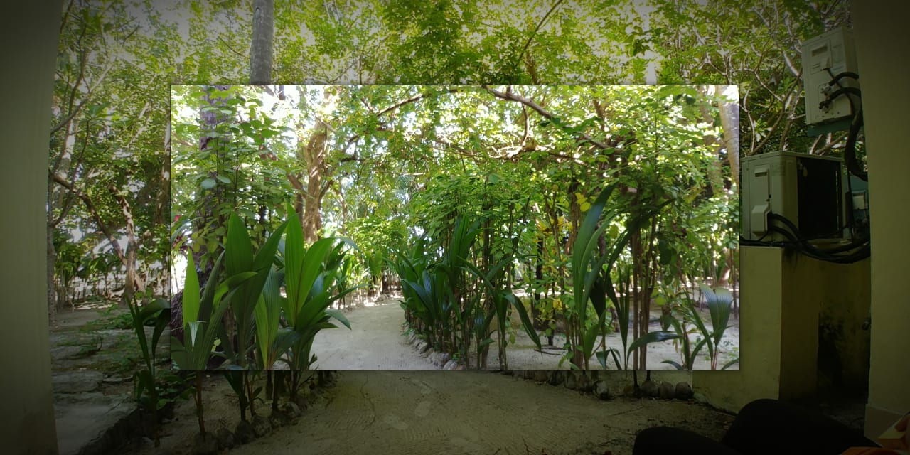 Zimmer Biyadhoo Island Resort