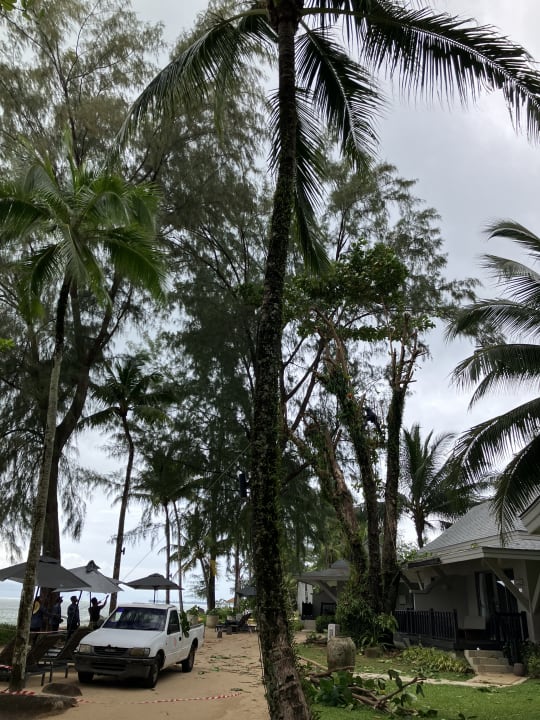 Gartenanlage Moracea by Khao Lak Resort