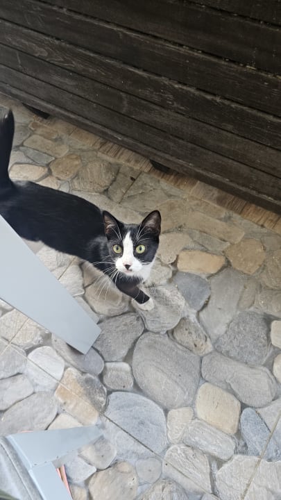 Sonstiges Dream World Palace Hotel