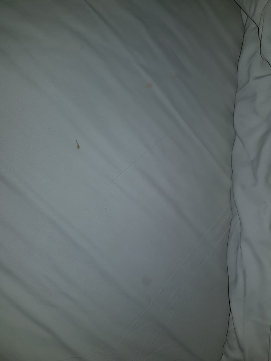 Zimmer Hotel Sandpiper