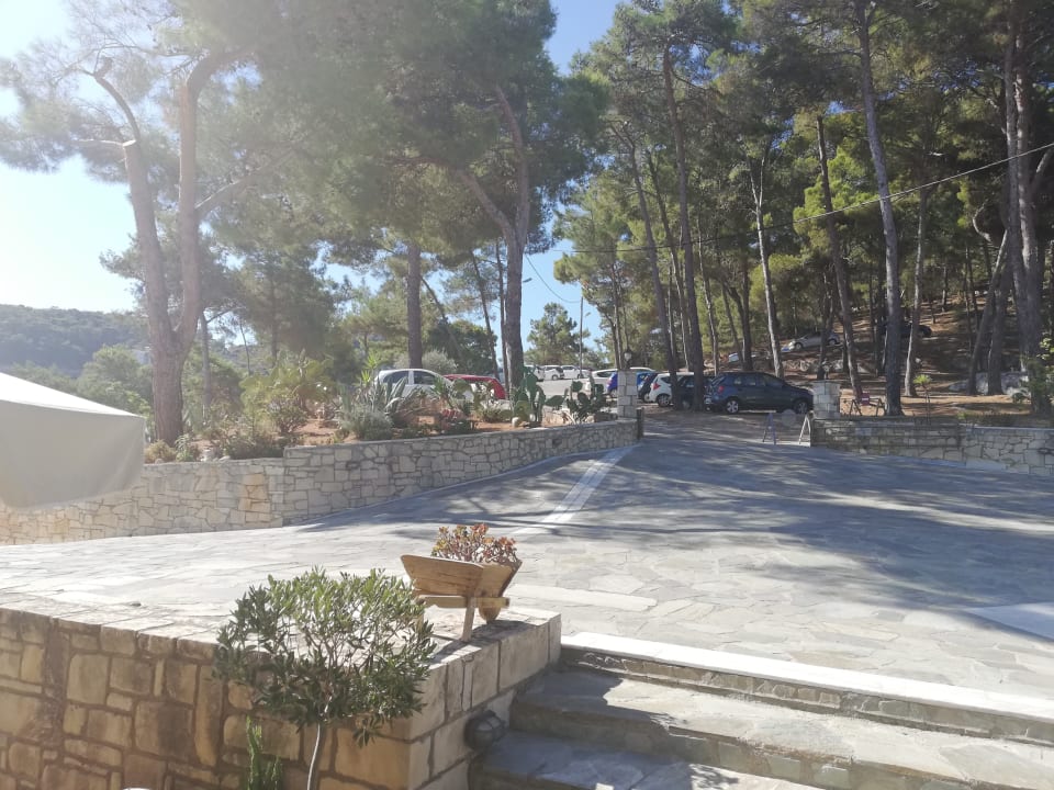 Außenansicht Hotel Forest Park