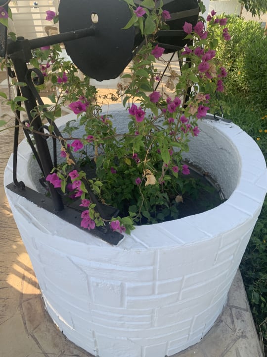 Außenansicht Summer Village of Hippokrates - Adults only