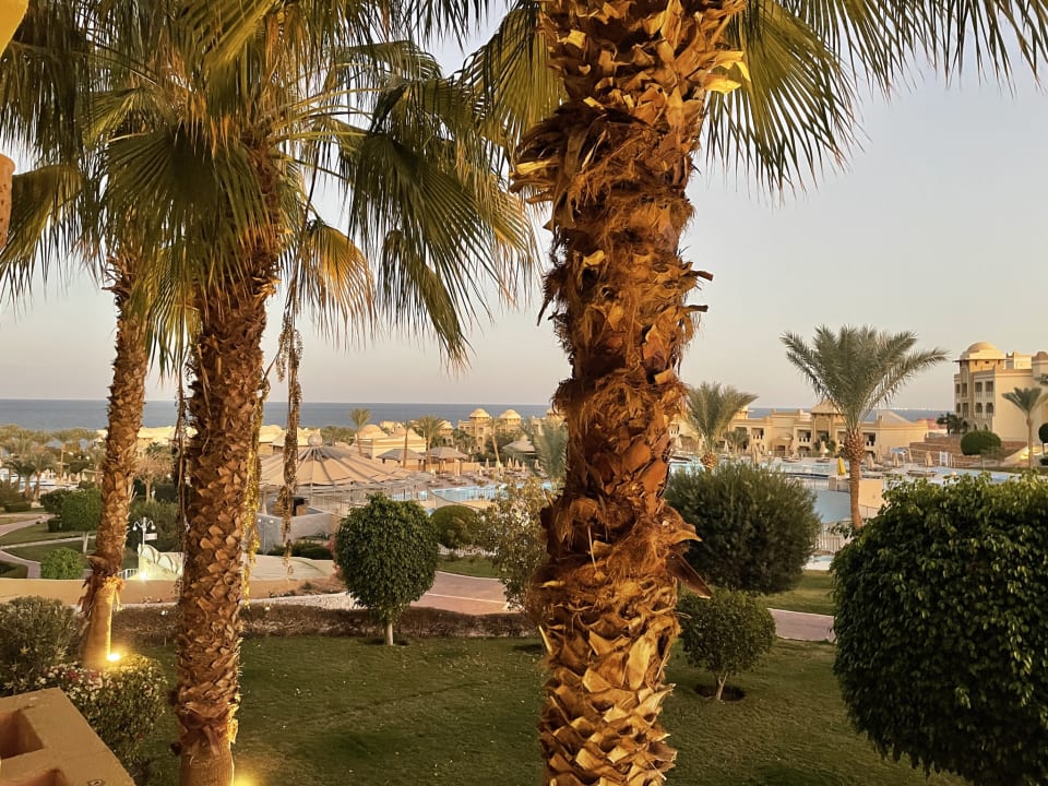 Ausblick Serenity Alpha Beach