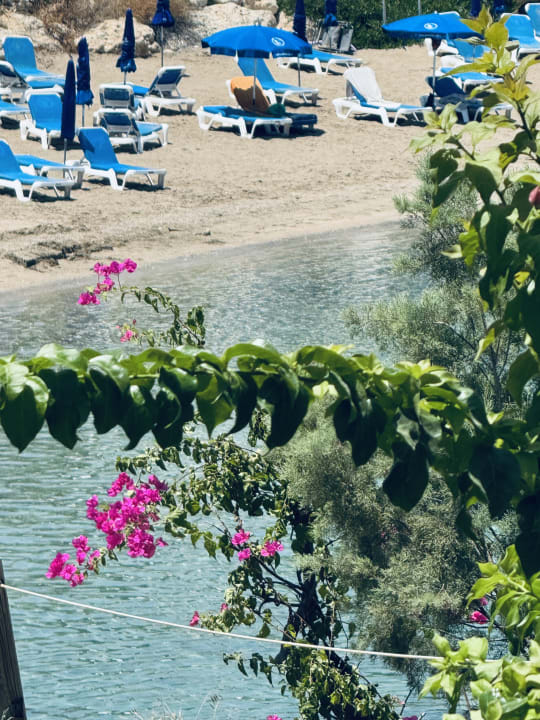 Strand Crystal Springs Beach Hotel