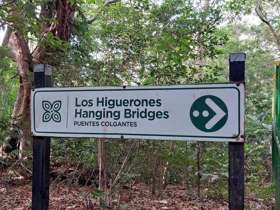 Gartenanlage Hotel Buena Vista Lodge