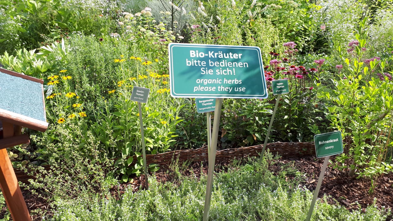 Gartenanlage Parkhotel Görlitz