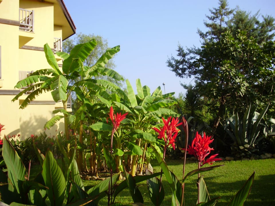 Z balkóna Alba Resort Hotel
