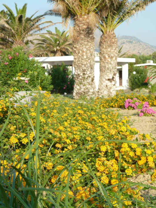 Blumen Civitel Creta Beach