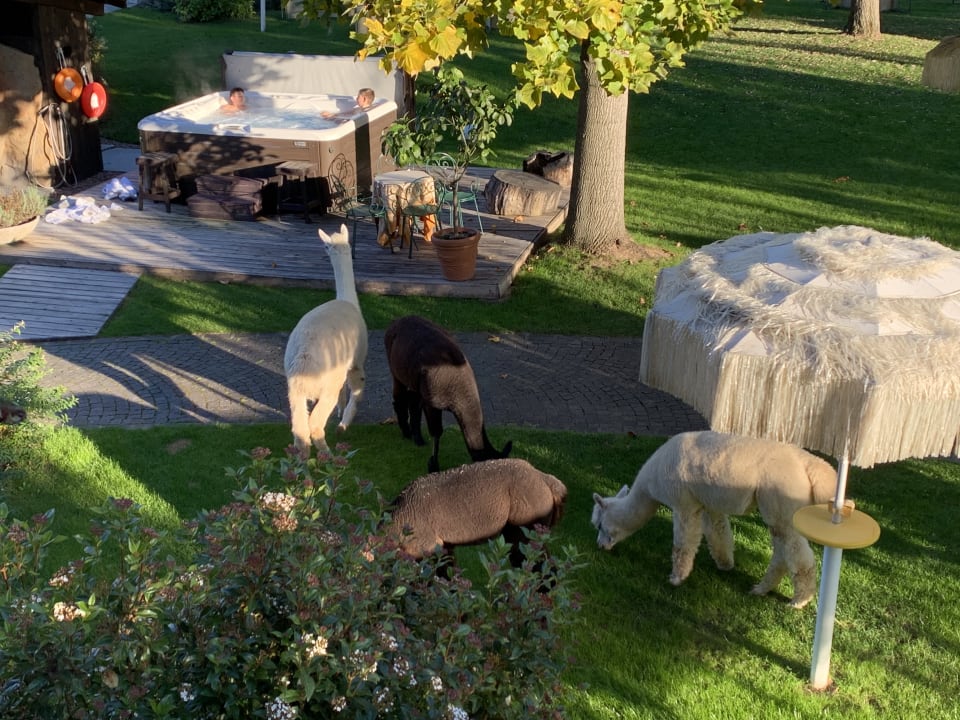Ausblick Gartenhotel Moser