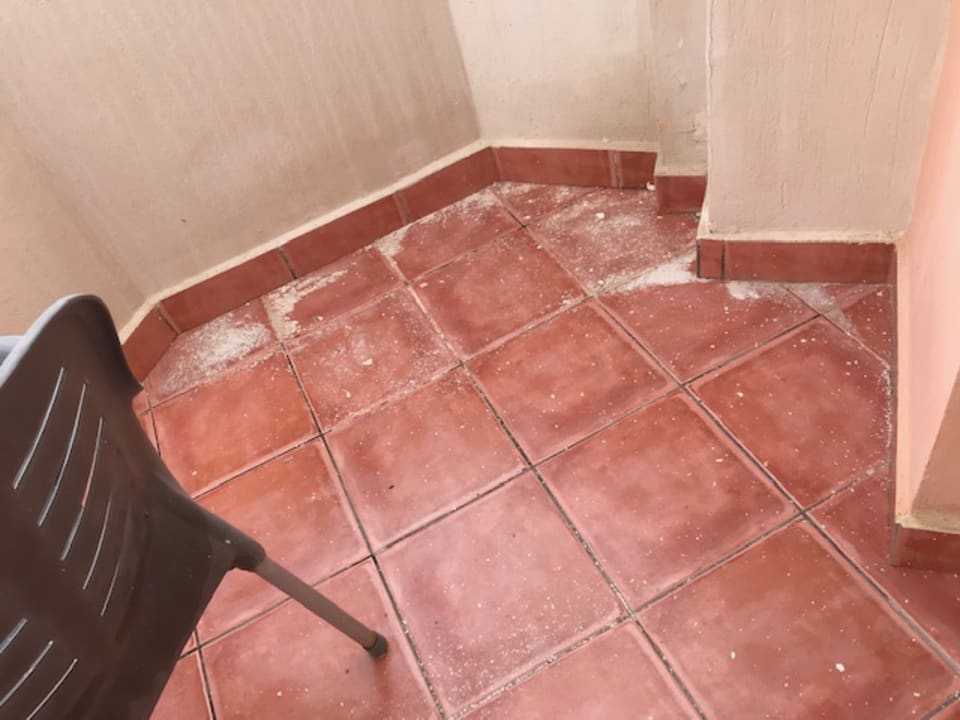 Zimmer Three Corners Sea Beach Resort