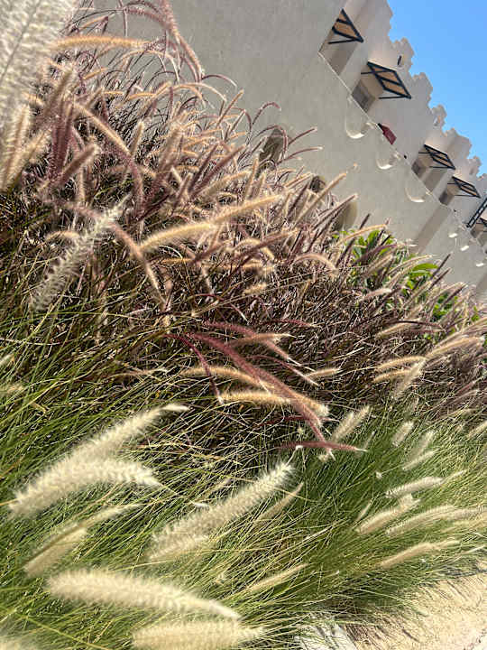 Außenansicht SUNRISE Anjum Resort