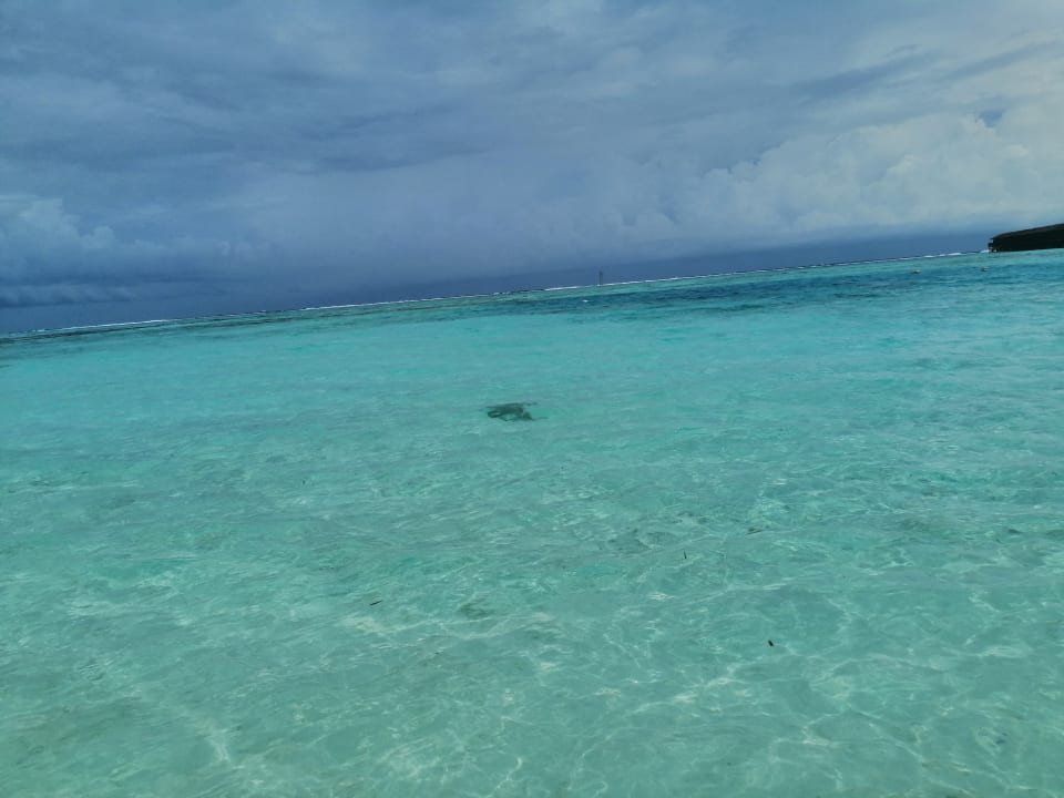 Strand Meeru Maldives Resort Island