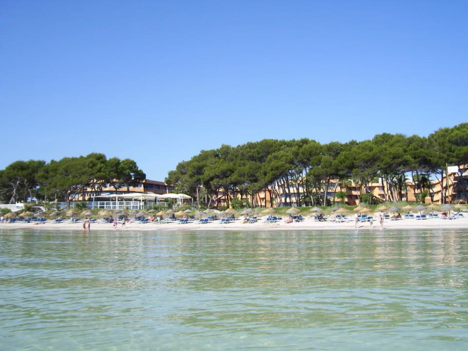 Blick vom Meer aus Iberostar Waves Playa de Muro