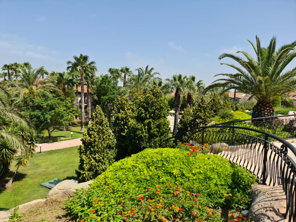 Gartenanlage Starlight Resort Hotel