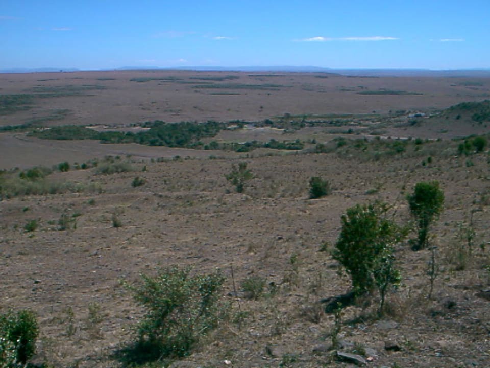 Blick in die Mara Mara Serena Safari Lodge