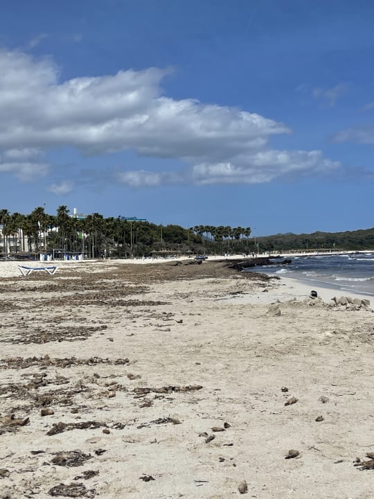 Strand BlueSea Gran Playa