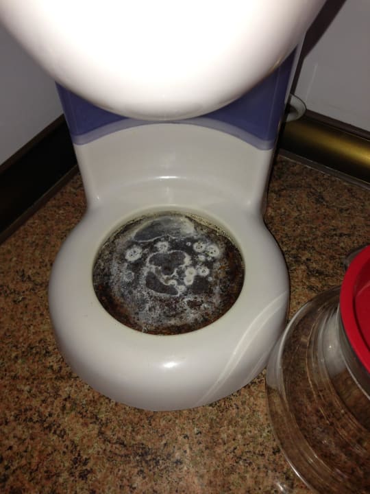 Sauber? Hotel El Duque