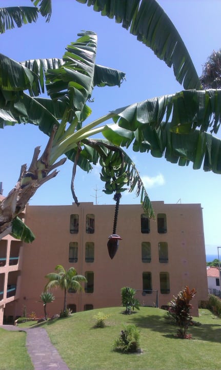 Bananowiec Hotel Dom Pedro Garajau