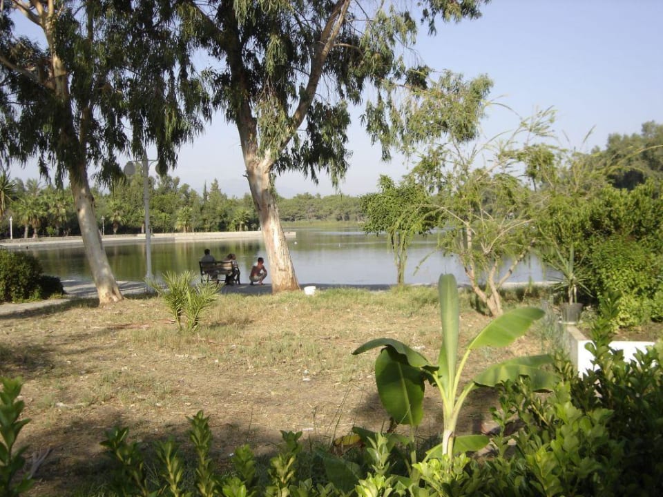 Weg zum Strand Asteria Collection Side