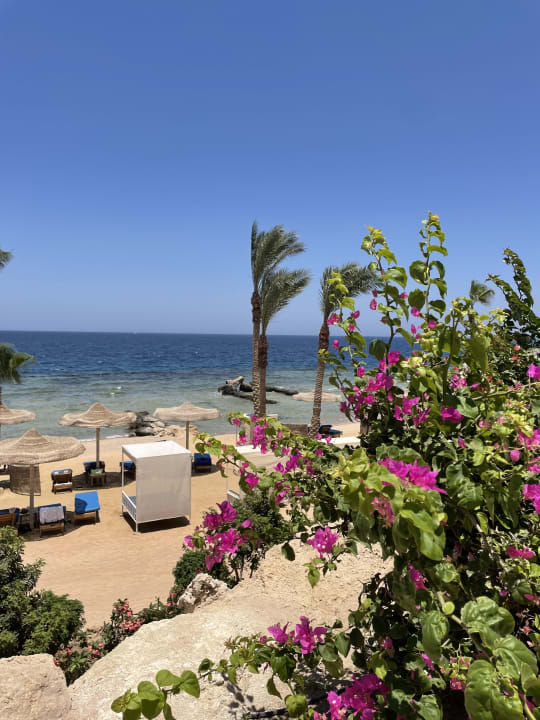 Strand Pickalbatros Citadel Resort