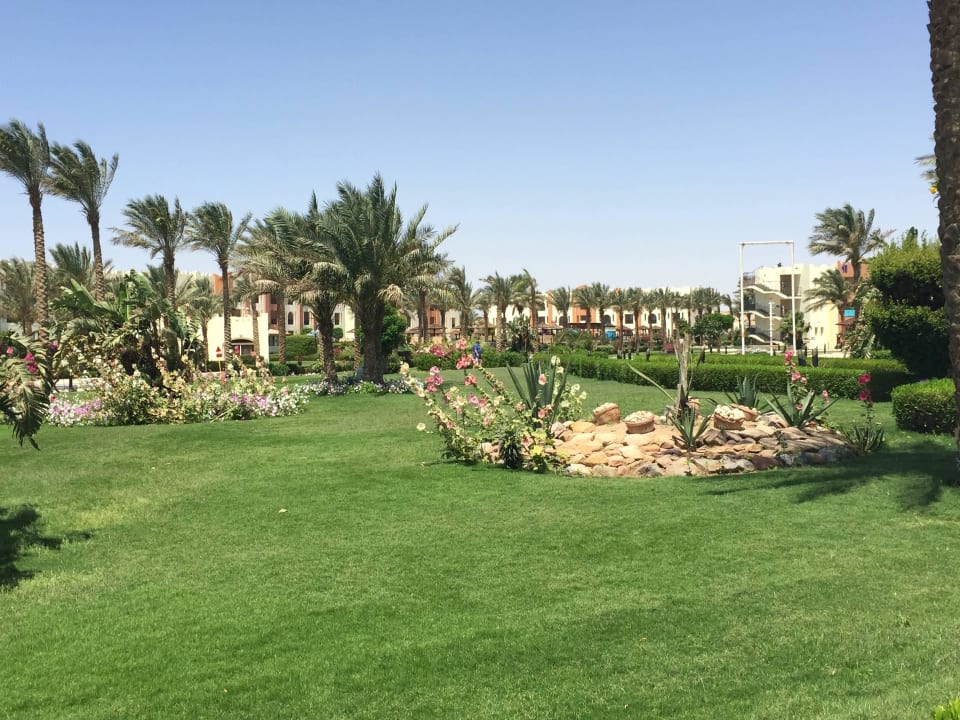The garden SUNRISE Royal Makadi Resort