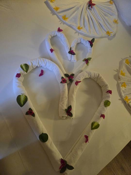 Zimmer Dream Water World