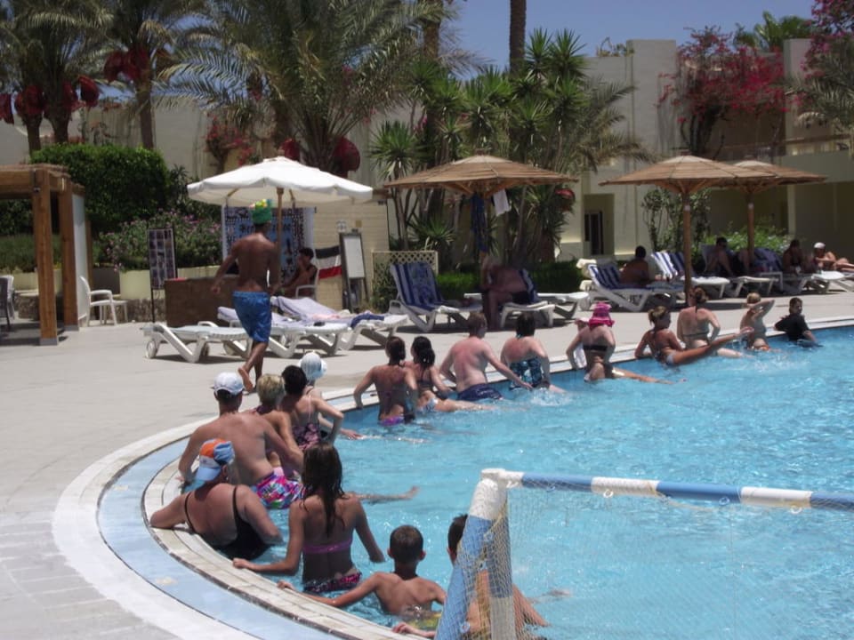 Wassergym Palm Beach Resort