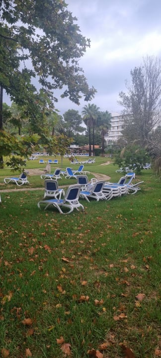 Gartenanlage Hotel Exagon Park